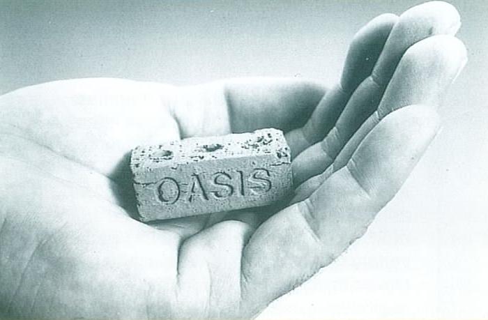 1993 Oasis Brick